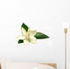 Gardenia or Gondhoraj Flower Wall Decal