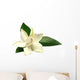 Gardenia or Gondhoraj Flower Wall Decal