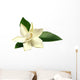 Gardenia or Gondhoraj Flower Wall Decal
