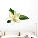 Gardenia or Gondhoraj Flower Wall Decal