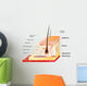 Skin Layers Wall Decal