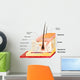 Skin Layers Wall Decal