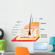 Skin Layers Wall Decal