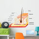Skin Layers Wall Decal