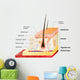 Skin Layers Wall Decal
