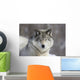 Beautiful Grey Wolf Wall Decal