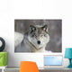 Beautiful Grey Wolf Wall Decal