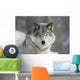 Beautiful Grey Wolf Wall Decal
