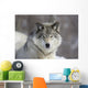 Beautiful Grey Wolf Wall Decal
