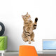 Portrait Playful Cat Scottish Wall Decal