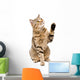 Portrait Playful Cat Scottish Wall Decal