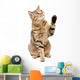 Portrait Playful Cat Scottish Wall Decal