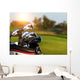 Golf Clubs Drivers over Wall Decal