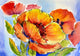 Watercolor Painting Bouquet Poppies Wall Decal