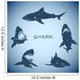 Shark Concept Wall Decal