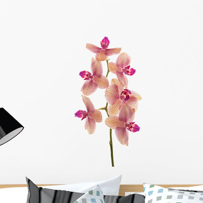 Branch Orchid Flowers White Wall Decal Design 4 shown on a wall