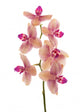 Branch Orchid Flowers White Wall Decal Design 4