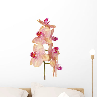Branch Orchid Flowers White Wall Decal Design 3 shown on a wall