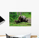 Brown Bear with Cubs Wall Decal