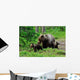 Brown Bear with Cubs Wall Decal