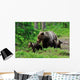 Brown Bear with Cubs Wall Decal