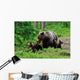 Brown Bear with Cubs Wall Decal