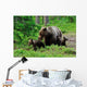 Brown Bear with Cubs Wall Decal