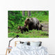 Brown Bear with Cubs Wall Decal