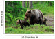 Brown Bear with Cubs Wall Decal