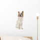 Icelandic Sheepdog Wall Decal