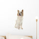 Icelandic Sheepdog Wall Decal
