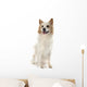 Icelandic Sheepdog Wall Decal
