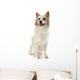 Icelandic Sheepdog Wall Decal