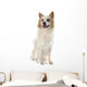Icelandic Sheepdog Wall Decal