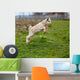 Baby Goat Jumping Wall Decal