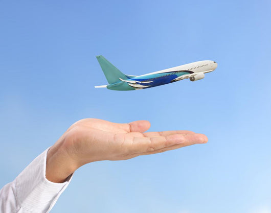 Airline Business Wall Decal