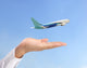Airline Business Wall Decal