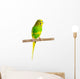 Budgerigar Parrot Wall Decal Design 2