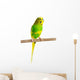Budgerigar Parrot Wall Decal Design 2