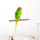 Budgerigar Parrot Wall Decal Design 2