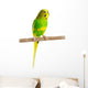 Budgerigar Parrot Wall Decal Design 2