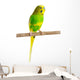 Budgerigar Parrot Wall Decal Design 2