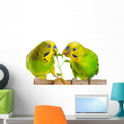 Budgerigar Parrot Wall Decal Design 1 shown on a wall