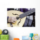 Traditional Mandolin Wall Decal
