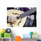 Traditional Mandolin Wall Decal
