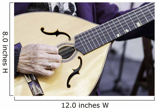 Traditional Mandolin Wall Decal