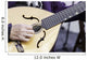 Traditional Mandolin Wall Decal