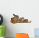 Male Lion Wall Decal Design 2