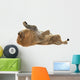 Male Lion Wall Decal Design 2