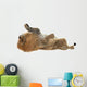Male Lion Wall Decal Design 2
